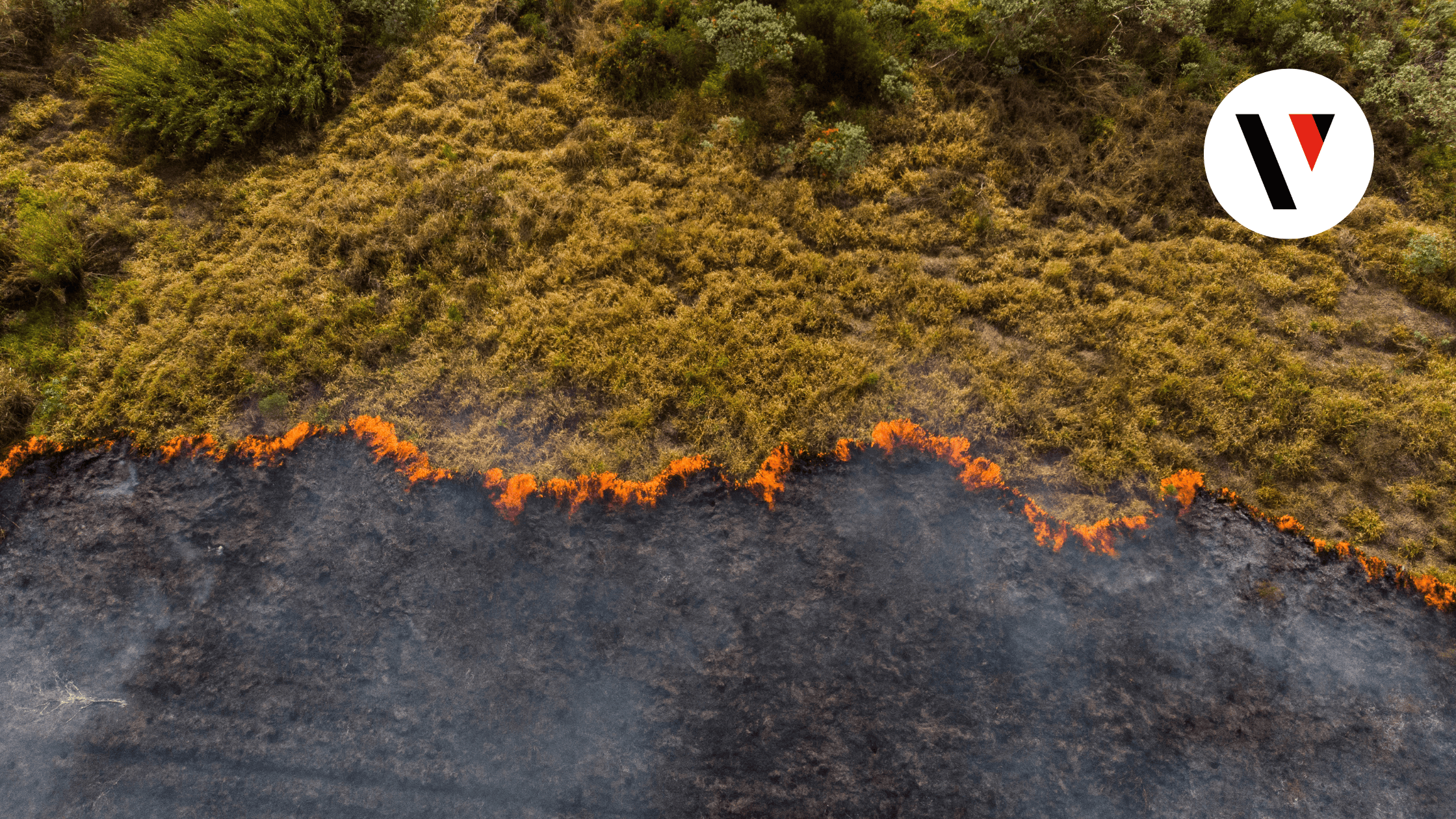 Incendios Forestales Chile