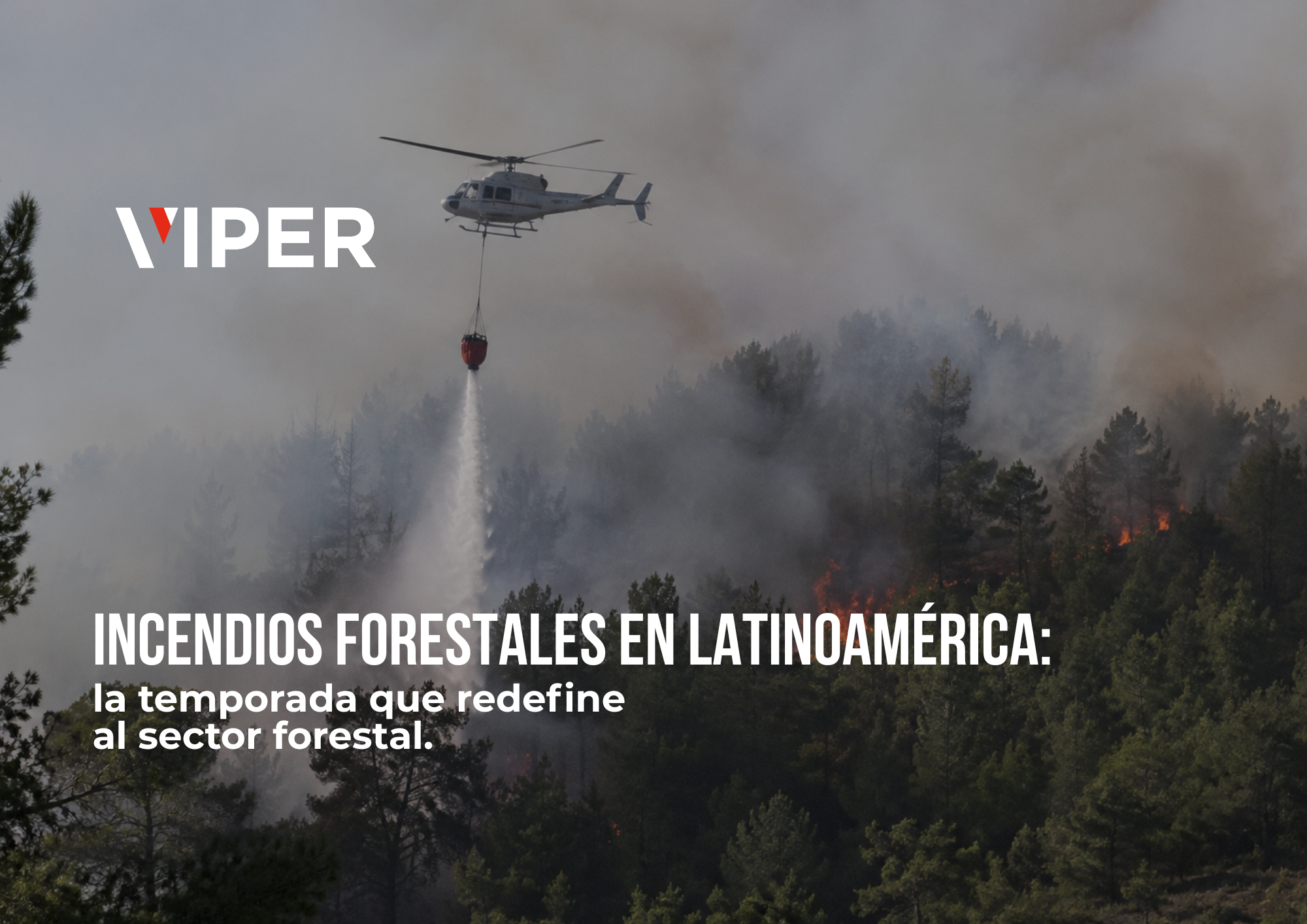 Incendios forestales en Latinoamérica (1)