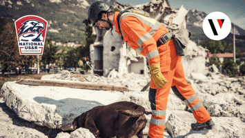 persona y perro en situación de rescate
