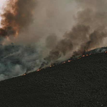 post Linkedin Viper (33)